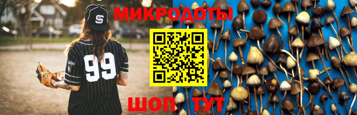 Псилоцибиновые грибы мицелий  Псилоцибиновые грибы Magic Shrooms  Вход с VPN  Ульяновск 