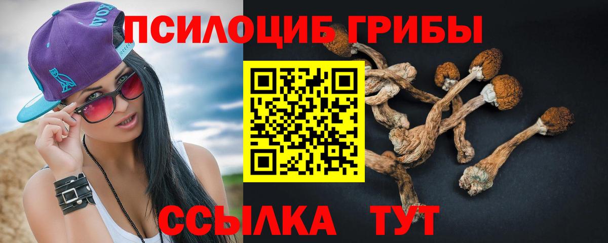 Галлюциногенные грибы Psilocybine cubensis Ульяновск